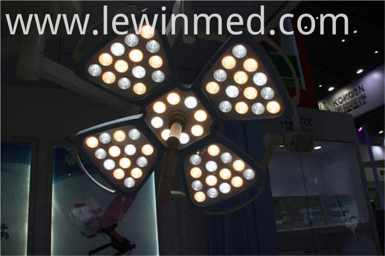 Petal led cold light lamp